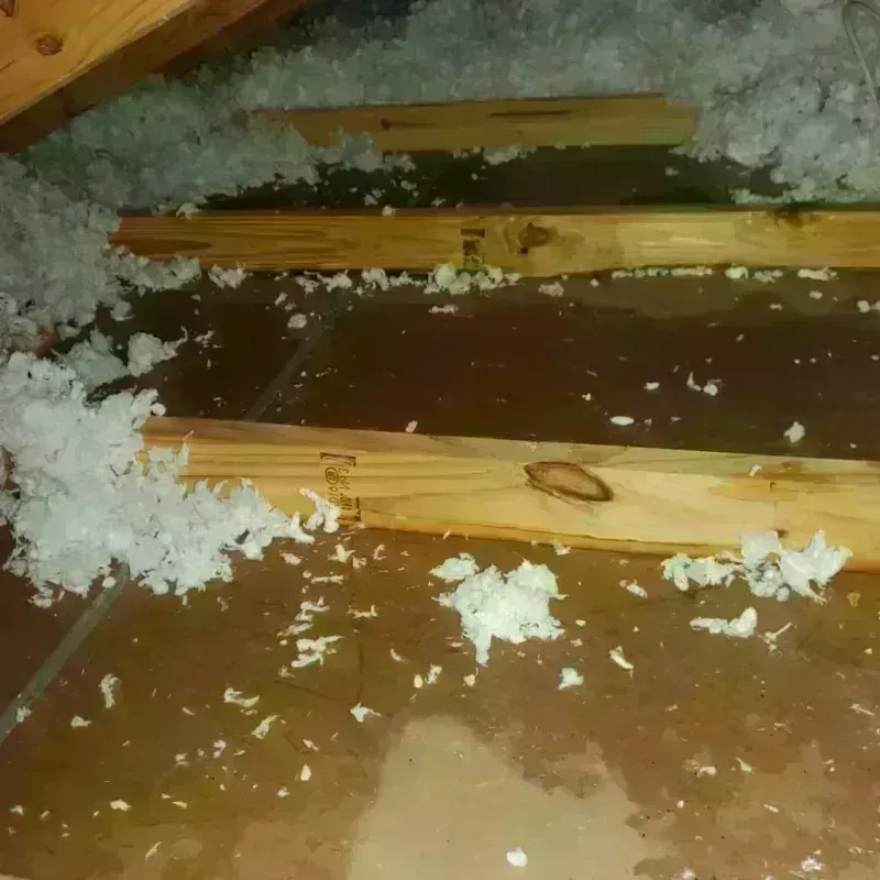 Attic Water Damage in Anthony, KS