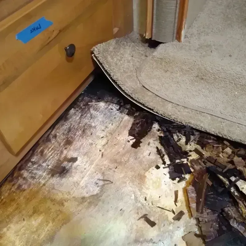 Best Wood Floor Water Damage Service in Anthony, KS